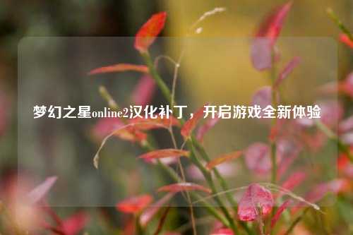 梦幻之星online2汉化补丁，开启游戏全新体验