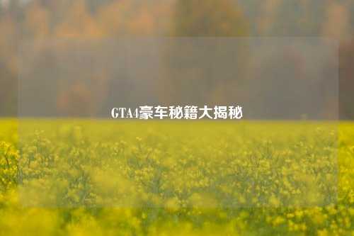GTA4豪车秘籍大揭秘