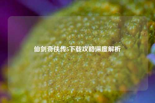 仙剑奇侠传5下载攻略深度解析