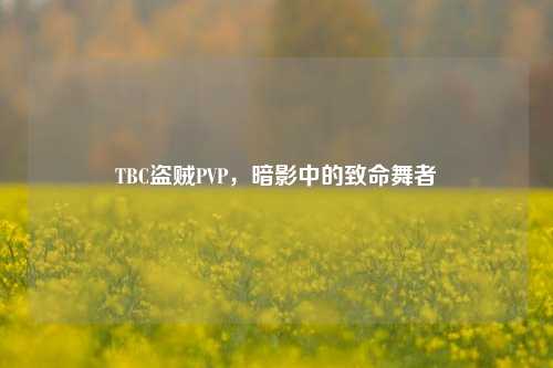 TBC盗贼PVP，暗影中的致命舞者