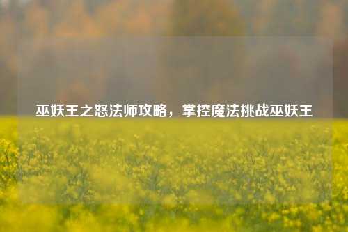 巫妖王之怒法师攻略，掌控魔法挑战巫妖王