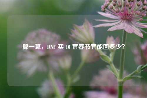 算一算,DNF 买 10 套春节套能回多少?