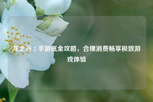 龙之谷 2 手游氪金攻略，合理消费畅享极致游戏体验