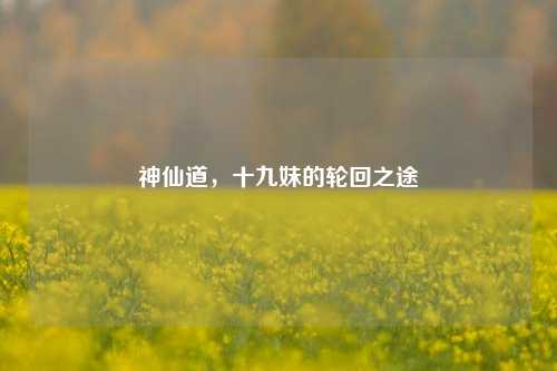 神仙道,十九妹的轮回之途