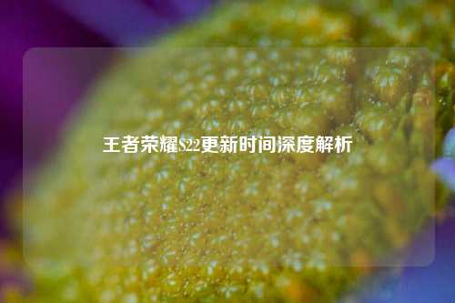 王者荣耀S22更新时间深度解析