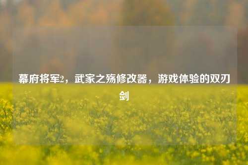 幕府将军2,武家之殇修改器,游戏体验的双刃剑