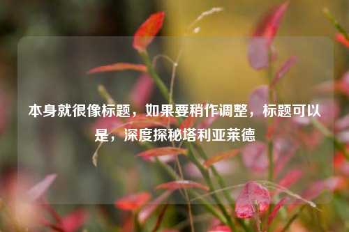 本身就很像标题,如果要稍作调整,标题可以是,深度探秘塔利亚莱德