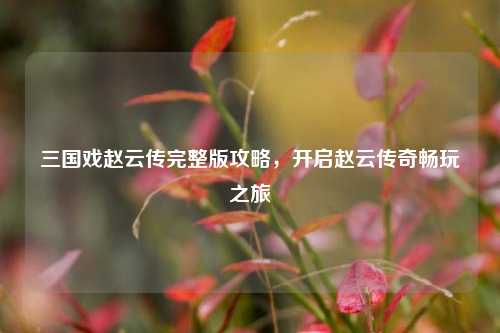 三国戏赵云传完整版攻略,开启赵云传奇畅玩之旅