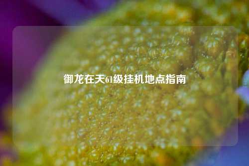 御龙在天61级挂机地点指南
