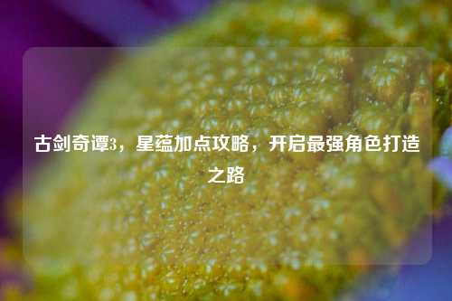 古剑奇谭3,星蕴加点攻略,开启最强角色打造之路