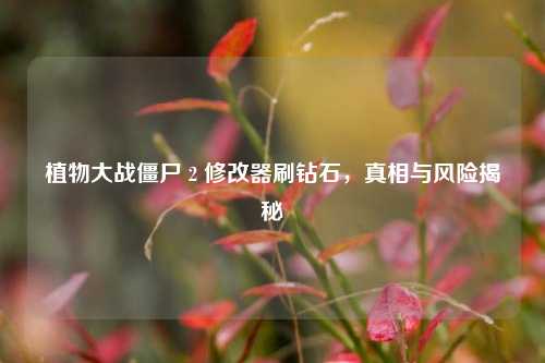 植物大战僵尸 2 修改器刷钻石，真相与风险揭秘