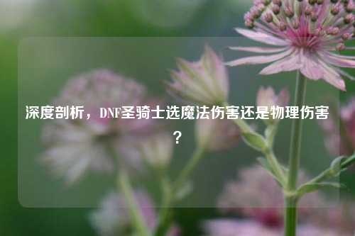 深度剖析，DNF圣骑士选魔法伤害还是物理伤害？