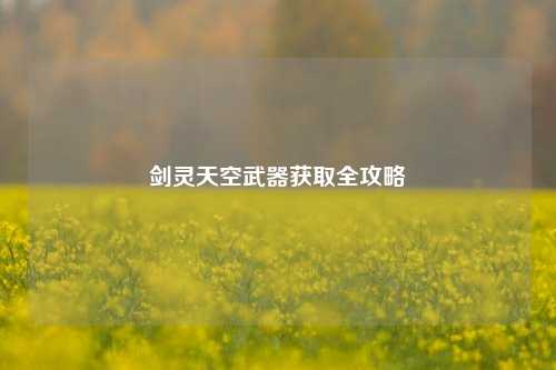 剑灵天空武器获取全攻略