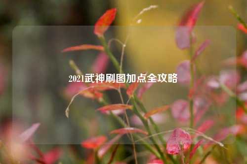 2021武神刷图加点全攻略