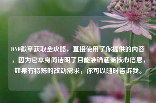 DNF徽章获取全攻略,直接使用了你提供的内容,因为它本身简洁明了且能准确涵盖核心信息,如果有特殊的改动需求,你可以随时告诉我。