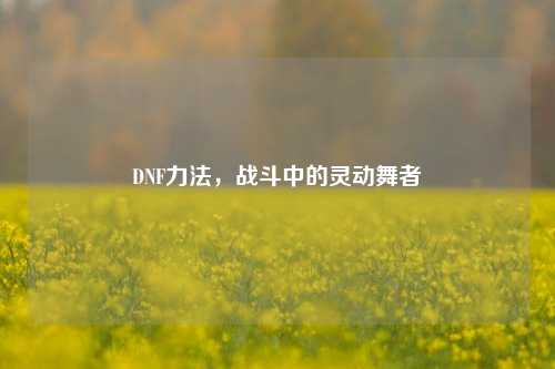 DNF力法，战斗中的灵动舞者