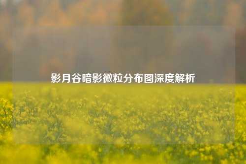 影月谷暗影微粒分布图深度解析