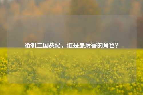 街机三国战纪，谁是最厉害的角色？