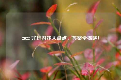 2022 好玩游戏大盘点，答案全揭晓！