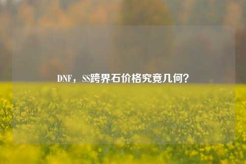 DNF，SS跨界石价格究竟几何？