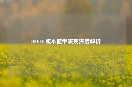 DNF110版本蓝拳表现深度解析