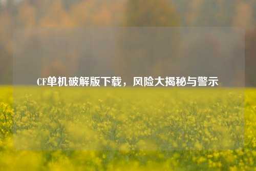 CF单机破解版下载，风险大揭秘与警示