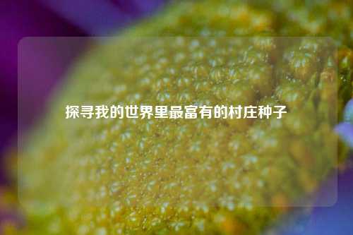 探寻我的世界里最富有的村庄种子