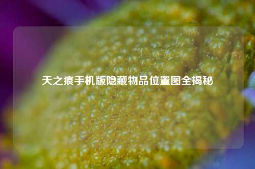 天之痕手机版隐藏物品位置图全揭秘