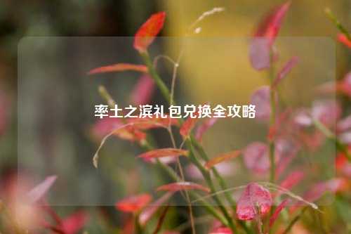 率土之滨礼包兑换全攻略