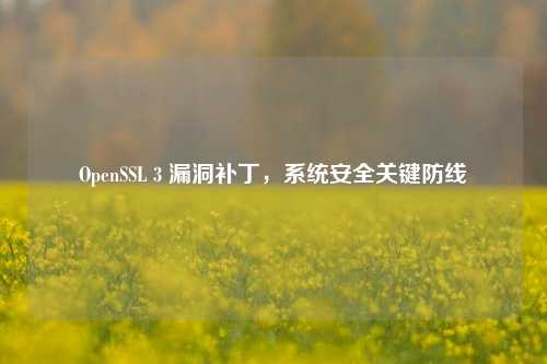 OpenSSL 3 漏洞补丁，系统安全关键防线