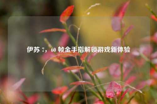 伊苏 7,60 帧金手指解锁游戏新体验