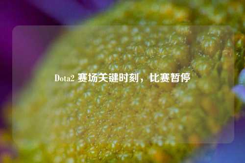 Dota2 赛场关键时刻,比赛暂停
