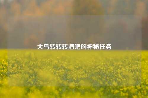 大鸟转转转酒吧的神秘任务