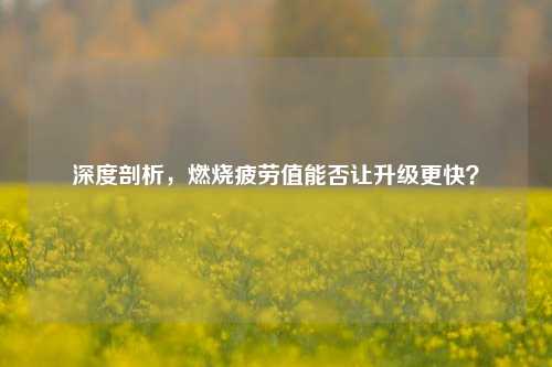 深度剖析，燃烧疲劳值能否让升级更快？