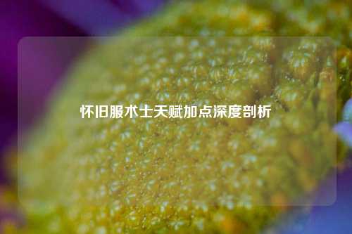 怀旧服术士天赋加点深度剖析