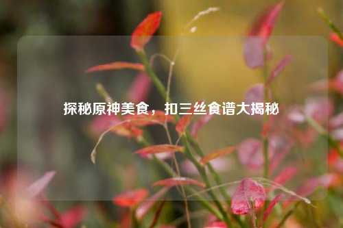 探秘原神美食，扣三丝食谱大揭秘
