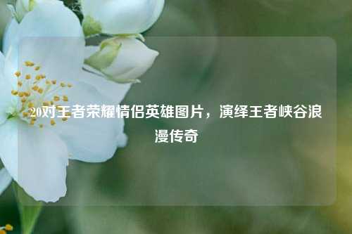 20对王者荣耀情侣英雄图片,演绎王者峡谷浪漫传奇