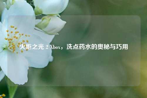火炬之光 2 Xbox，洗点药水的奥秘与巧用
