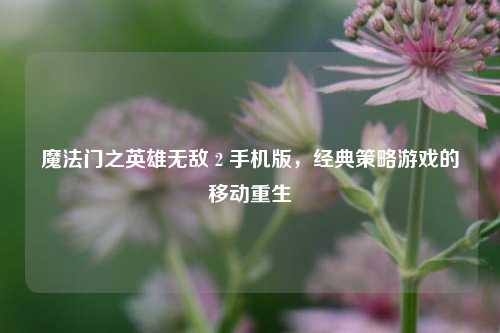 魔法门之英雄无敌 2 手机版,经典策略游戏的移动重生