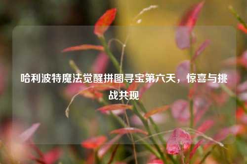 哈利波特魔法觉醒拼图寻宝第六天,惊喜与挑战共现