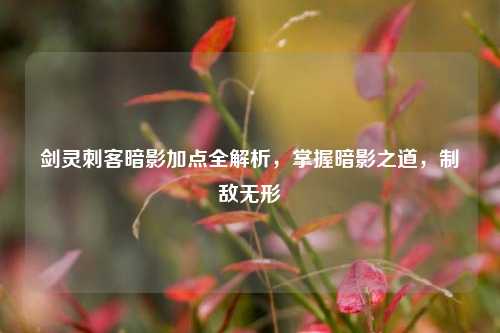 剑灵刺客暗影加点全解析,掌握暗影之道,制敌无形