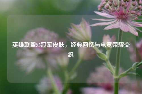 英雄联盟S5冠军皮肤，经典回忆与电竞荣耀交织