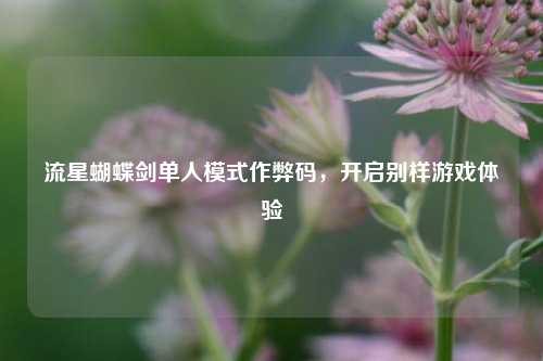 流星蝴蝶剑单人模式作弊码,开启别样游戏体验