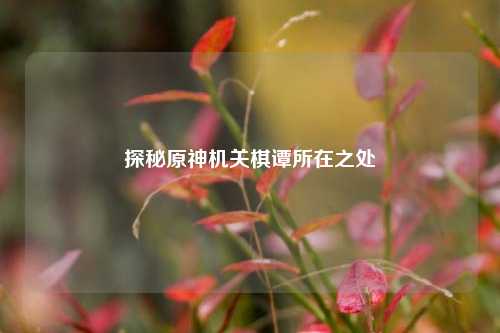 探秘原神机关棋谭所在之处