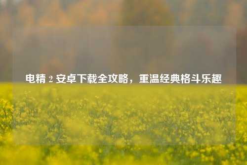 电精 2 安卓下载全攻略,重温经典格斗乐趣