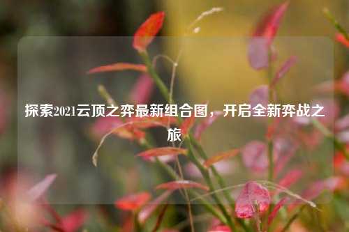 探索2021云顶之弈最新组合图,开启全新弈战之旅