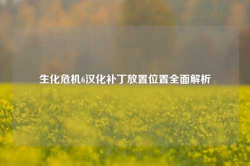 生化危机6汉化补丁放置位置全面解析