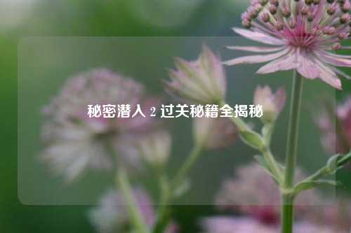秘密潜入 2 过关秘籍全揭秘