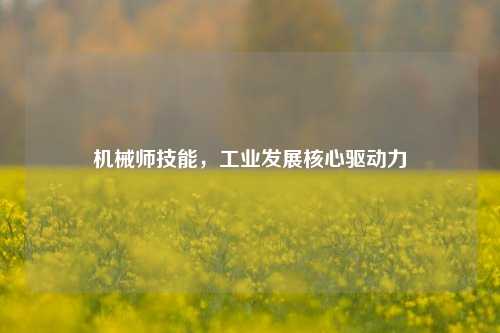 机械师技能，工业发展核心驱动力