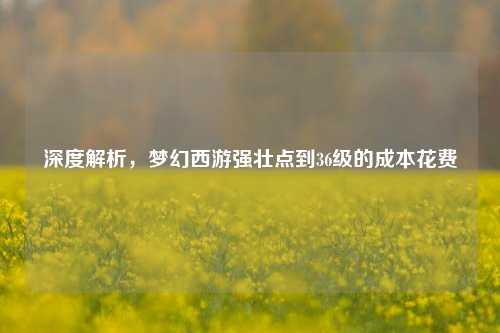 深度解析，梦幻西游强壮点到36级的成本花费